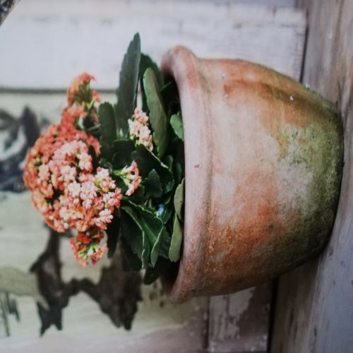 The House Gardener