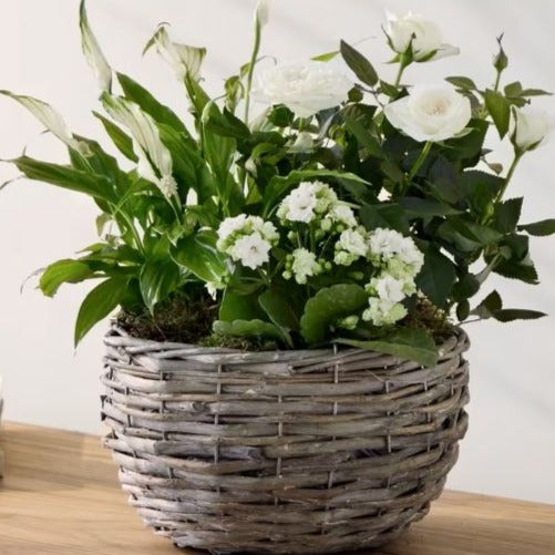 White Spring Flower Planter - Mills in Bloom